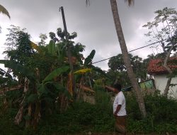 Kabel PLN Terputus Ancam Keselamatan Warga Batukerbuy