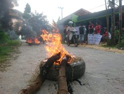 Kritik Bupati Melalui Aksi Tanam Pohon dan Bakar Ban