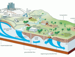 Nasib Dua BUMD Bangkalan; Tak Beroperasi, Tak Sumbang PAD
