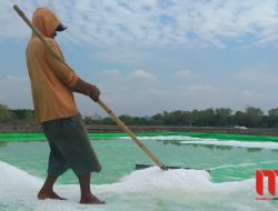 Meski Capai Target! Harga Garam Rakyat Dikeluhkan