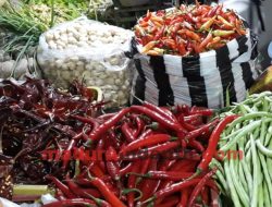 Harga Cabai di Sampang Capai Rp 60 Ribu