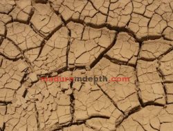 Bencana Kekeringan di Pamekasan Makin Luas