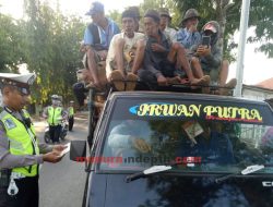 Pick Up yang Mengangkut Sapi dan Orang Ditilang, Polisi: Bukan Peruntukannya