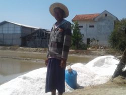 Harga Anjlok, Petani Garam di Pamekasan Kerja Sampingan Jadi Nelayan