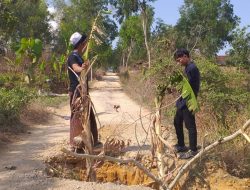 Jalan di Palengaan Pamekasan Tak Kunjung Diperbaiki, Warga Tanam Pohon Pisang