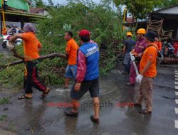 Breaking News: Angin Puting Beliung Terjang Sejumlah Desa/Kelurahan di Sampang Madura