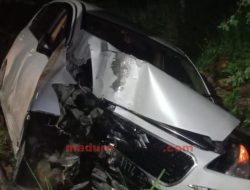 Sopir Mengantuk, Suzuki Ertiga Tabrak Pohon Mahoni