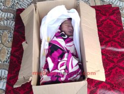 Geger, Mayat Bayi Ditemukan Meninggal di Dalam Kardus