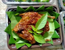 Burung Dara Bumbu Bisa Dijumpai di Sampang Madura