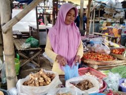 Jahe dan Temulawak Naik Karena Covid-19, Dokter Spesialis: Tidak Perlu Panik dengan Virus Corona