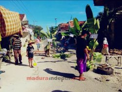 Tak Kunjung Diperbaiki, Warga Pakong Pamekasan Tanam Pohon Pisang di Tengah Jalan