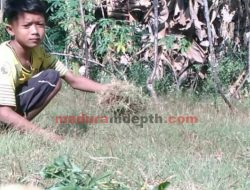 Orang Tua Tak Mampu Belikan Gadget, Rafly Terancam Putus Sekolah