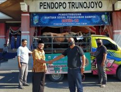 PT Garam Serahkan 2 Ekor Sapi Kurban ke Pemkab Sampang