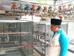 Menengok Sisi Lain Moh Aksan, Kepala Desa yang Hobi Ternak Perkutut