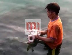 Geger, Warga Pulau Mandangin Temukan Bayi Mengapung di Pinggir Pantai
