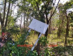 Hutan Kota di Sampang Tak Terawat, Dinas Kehutanan Sebut Kewenangan Dilimpahkan ke DLH