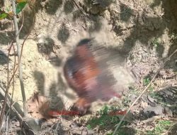 Penemuan Mayat di Sampang Madura, Korban Hilang Sejak 10 Hari Lalu