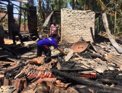 Ditinggal Tidur, Kandang Sapi Terbakar