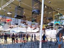 KIS dan KJM Gelar Lomba Burung Berkicau Trunojoyo Cup 1