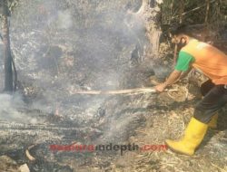 Pancaroba Ancam Bencana Kebakaran di Pamekasan Madura