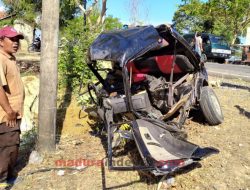 Kecelakaan Adu Banteng di Pamekasan Telan Korban Jiwa