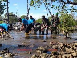 Kodim 0828 Tanam Mangrove Bersama Relawan, Satpol PP Tidak Hadir