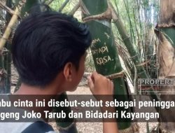 Bambu Cinta di Pamekasan, Peninggalan Joko Tarub dan Bidadari Kayangan