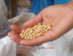 Awal Tahun 2021 Harga Kedelai dan Cabe Naik