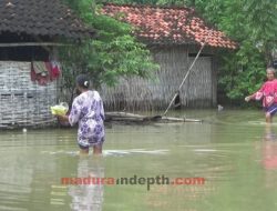 Banjir Rendam Puluhan Rumah dan Ratusan Hektar Sawah