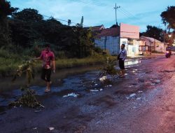 Kerap Makan Korban, Akses Jalan Nasional di Bangkalan Ditanami Pohon