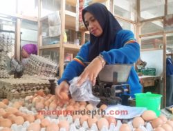 Harga Telur di Sampang Naik, Diskopindag Tidak Bisa Prediksi