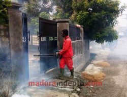 Balita Terjangkit DBD, Dinkes Gencar Lakukan Fogging