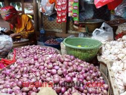 Harga Bawang Merah Naik Hingga Rp 40 Ribu Perkilogram