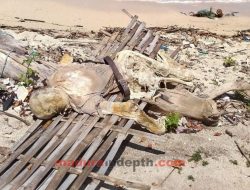 Geger, Temuan Sosok Mayat di Pesisir Pulau Mandangin
