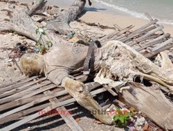 Temuan Mayat di Pulau Mandangin, Kades: Kondisinya Hancur dan Memutih