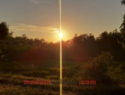 Sekilas tentang Desa Ombul