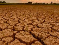 Sumenep Siap-Siap Hadapi Bencana Kekeringan