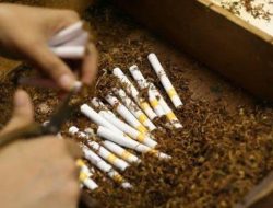 Dapat Kucuran DBHCHT, Pemkab Pamekasan Akan Buka Pelatihan Linting Rokok