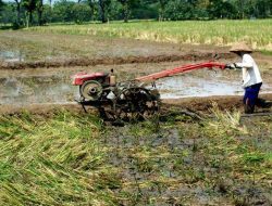 Dispertan Sampang Serahkan Alat Pertanian Modern ke Sejumlah Poktan