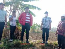 Pantau Lokasi Pembangunan Jalan Khusus Kendaraan Berat, Bupati Harap Kualitasnya Bagus