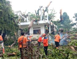 Hujan Deras Picu Pohon Tumbang Timpa Pondok Pesantren di Kabupaten Sampang