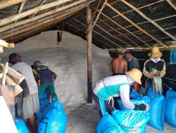 Musim Hujan, Harga Garam di Pamekasan Naik