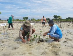 Lindungi Pantai, Relawan di Sumenep Tanam 10 Ribu Mangrove