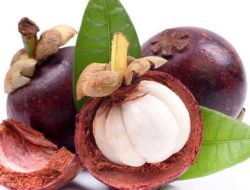 Ragam Manfaat Buah Manggis untuk Kesehatan