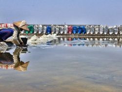 Harga Anjlok, Produksi Garam Tahun 2021 di Sampang Turun