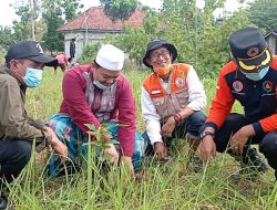 Tanam 20 Ribu Pohon, FPRB Sampang Kampanyekan Pelestarian Alam