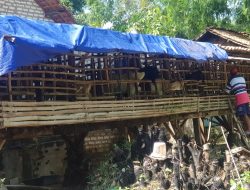 NU Care-Lazisnu Sampang Salurkan Program Kambing Bergulir