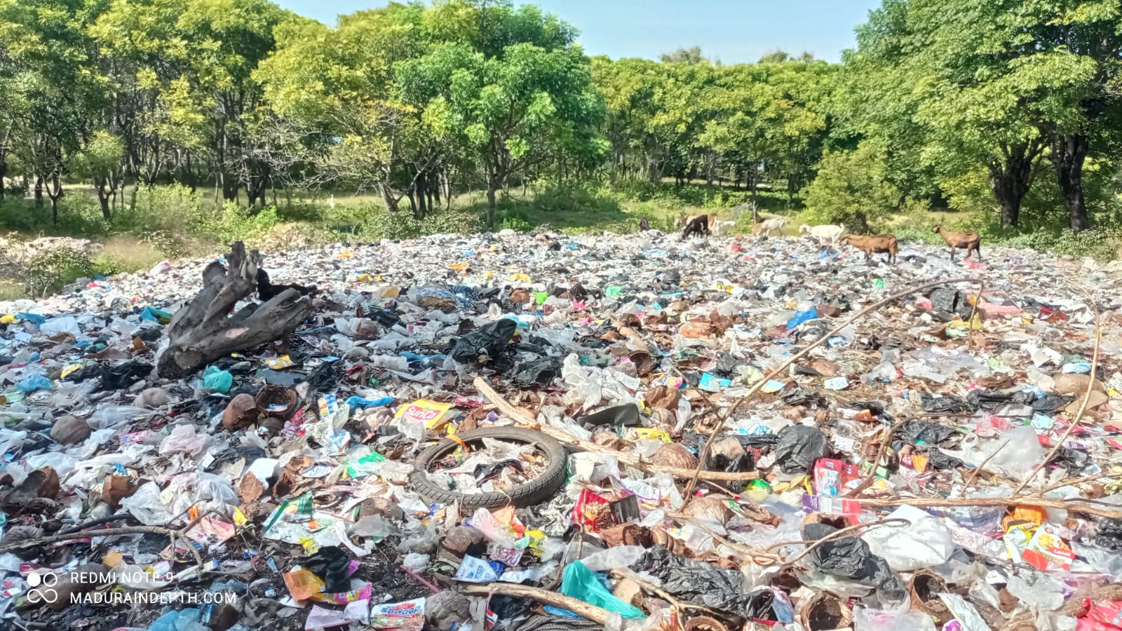 Sampah Pulau Mandangin