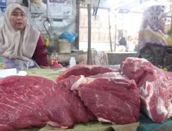 Pembeli Takut Tertular PMK, Harga Daging Sapi Anjlok