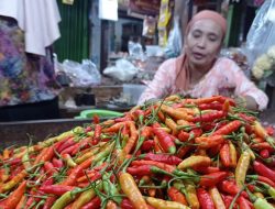 Harga Cabai Melejit, Per Kilo Tembus Rp 85 Ribu